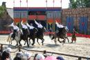 Image du jour, extraite de l'album < Puy du Fou (F) > du 20 juillet 2004